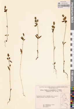 MAG 0018224