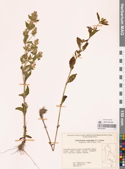 MAG 0018225