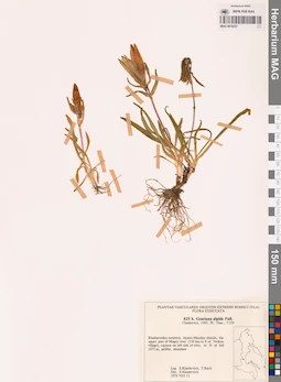 MAG 0018227