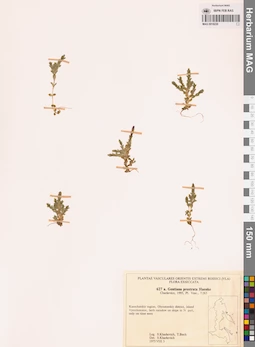 MAG 0018230