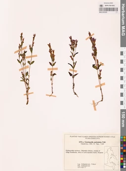 MAG 0018235