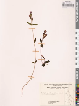 MAG 0018236