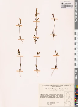 MAG 0018238