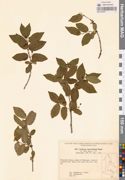 MAG 0018260