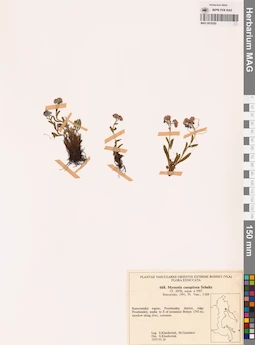 MAG 0018292
