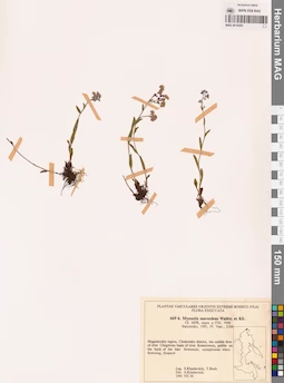 MAG 0018293
