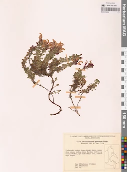 MAG 0018302