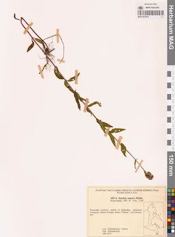MAG 0018314
