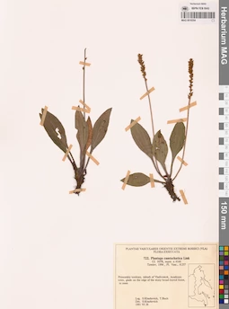 MAG 0018354