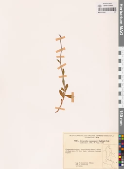 MAG 0018361