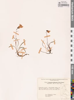 MAG 0018362