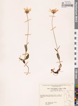 MAG 0018383