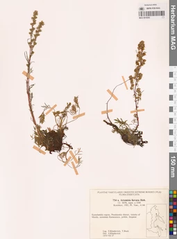 MAG 0018392