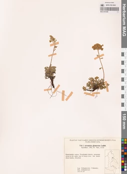 MAG 0018398