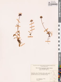 MAG 0018433