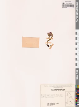 MAG 0018487