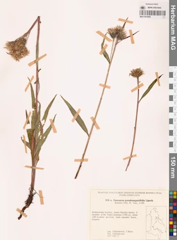 MAG 0018492