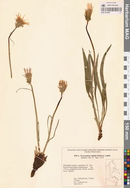 MAG 0018498