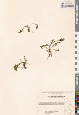 MAG 0018510