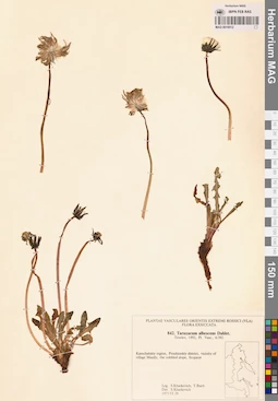 MAG 0018512
