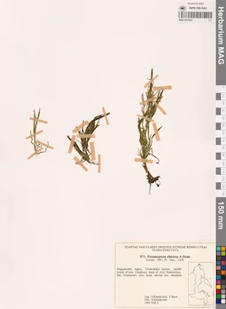 MAG 0018547
