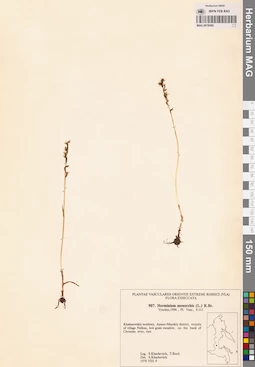 MAG 0018580