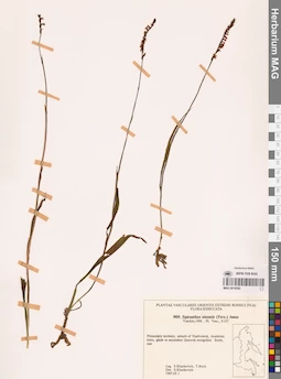 MAG 0018582