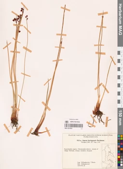 MAG 0018583