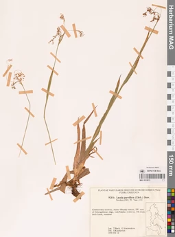 MAG 0018613