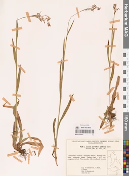 MAG 0018614