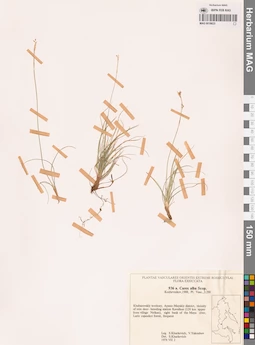MAG 0018623