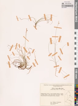 MAG 0018624