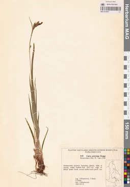 MAG 0018627