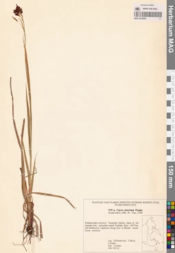 MAG 0018628