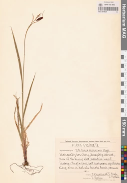 MAG 0018629