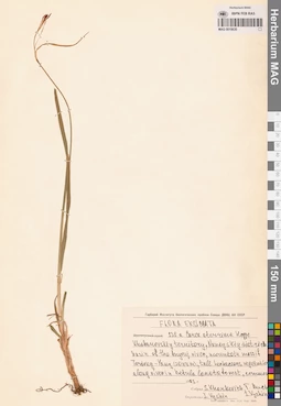 MAG 0018630