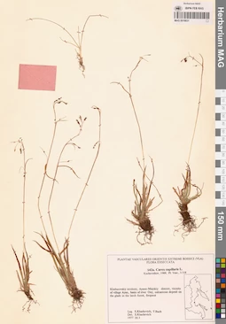 MAG 0018631