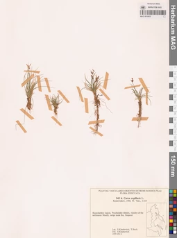 MAG 0018633