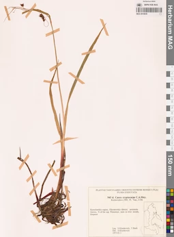 MAG 0018639