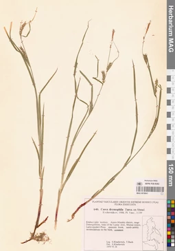 MAG 0018641