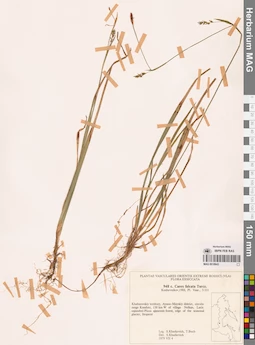 MAG 0018643