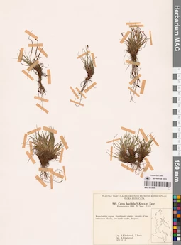 MAG 0018644