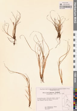 MAG 0018648