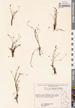 MAG 0018651