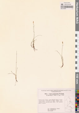 MAG 0018662