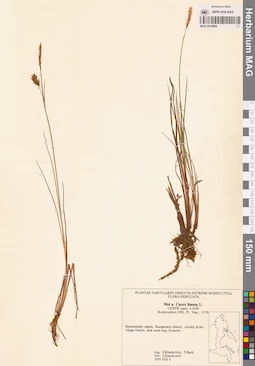 MAG 0018669