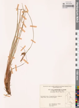 MAG 0018689