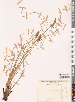 MAG 0018691