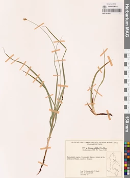 MAG 0018692