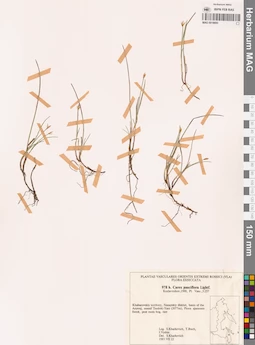 MAG 0018693
